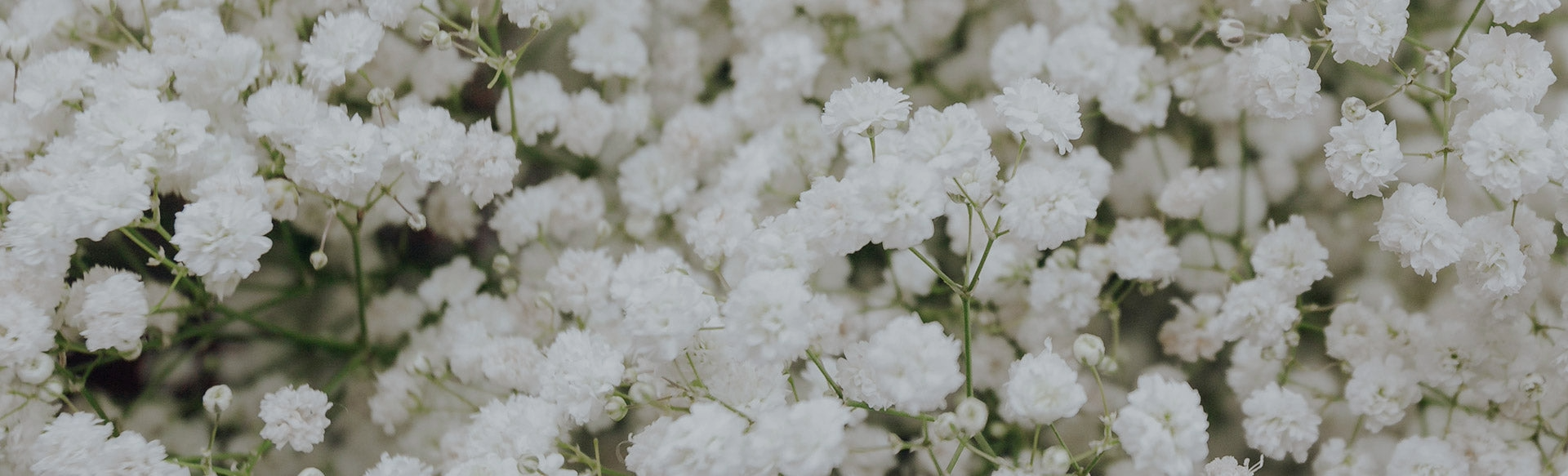 The Wedding Website of Morgan Miller and Peter Spencer