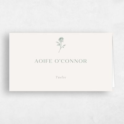Rich Sage, Green Wedding Place Card - Kerenza