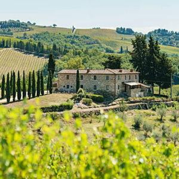 Florence: Chianti Wineries Tour