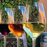 The Art of Wine