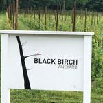 Black Birch Vineyard