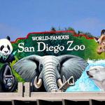San Diego Zoo