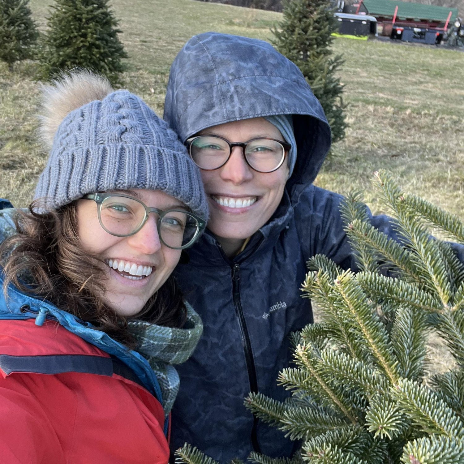 Cutting down our Christmas tree!