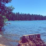 Lake of the Woods