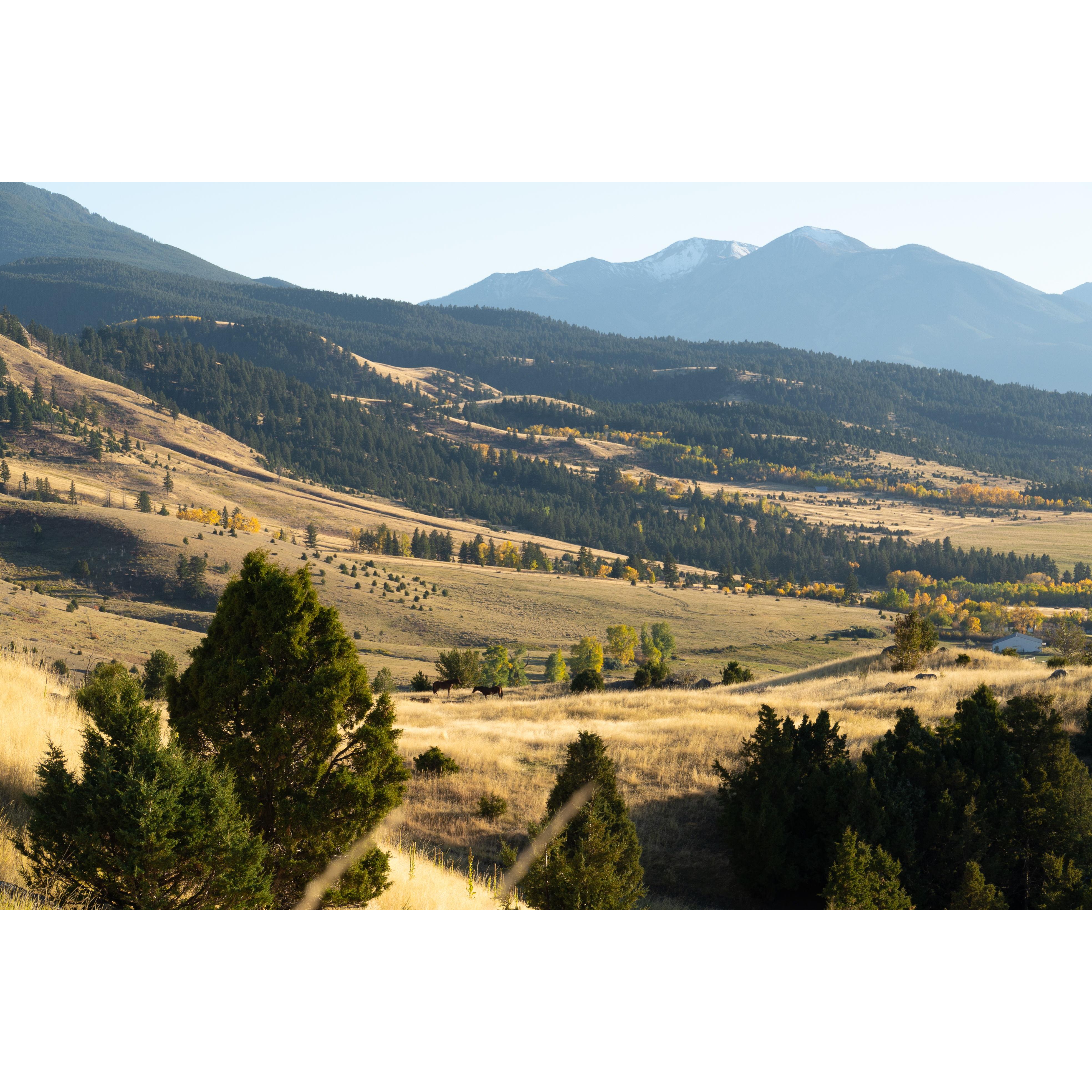 Drive down from Pine Creek overlooking the valley.