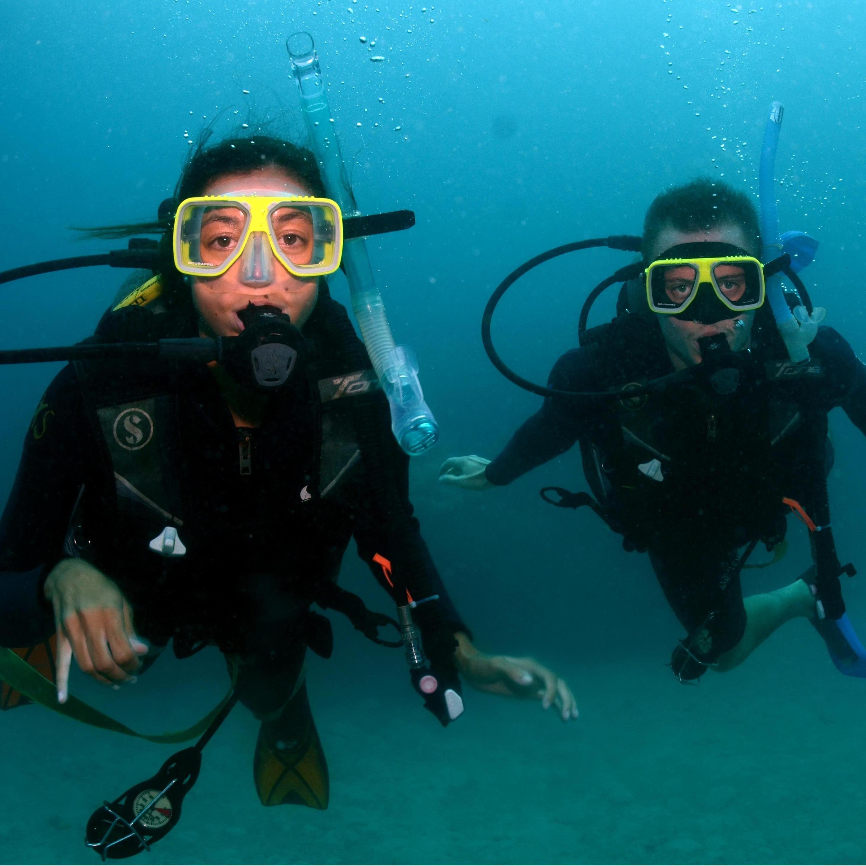 Scuba Diving - Great Barrier Reef