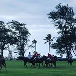 Hawaii Polo Club