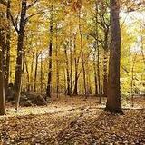 Tenafly Nature Center