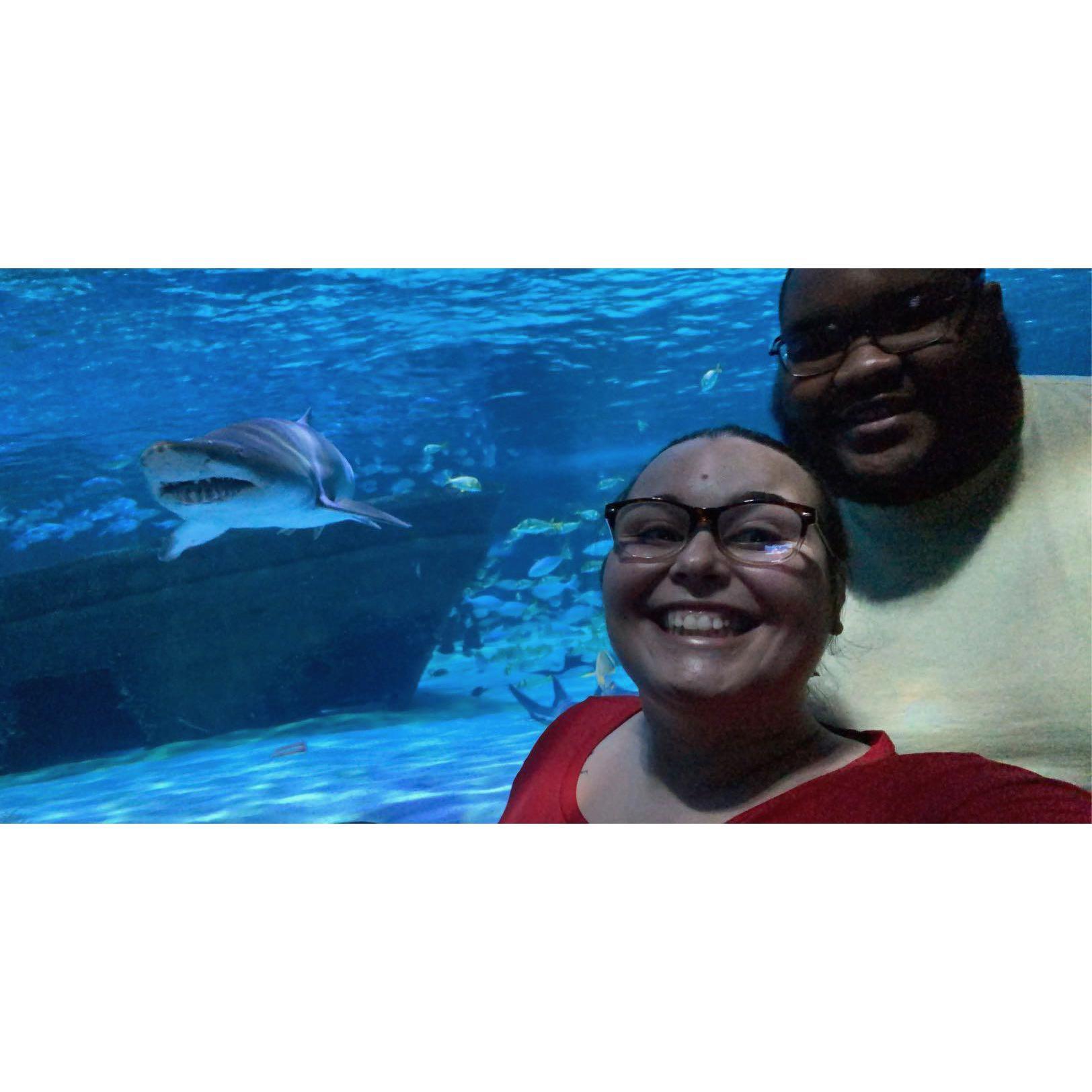 Aquarium trips are one of our favorites.
