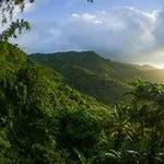 El Yunque Rainforest