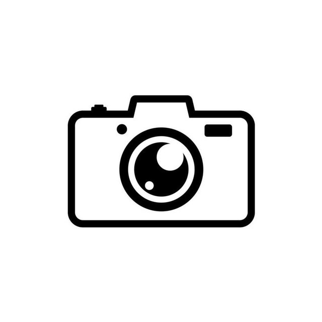 Photographer/videographer