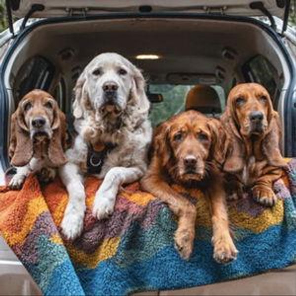 Sherpa Fleece Waterproof Blanket - Canyon Color, Small