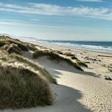 Nehalem Bay State Park