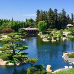 The Japanese Garden