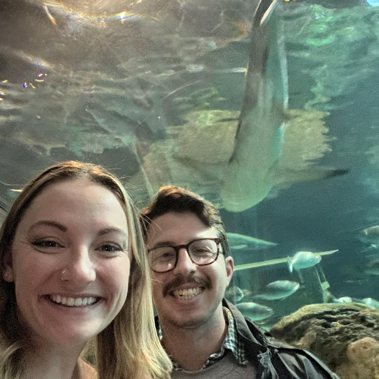 Gatlinburg aquarium
