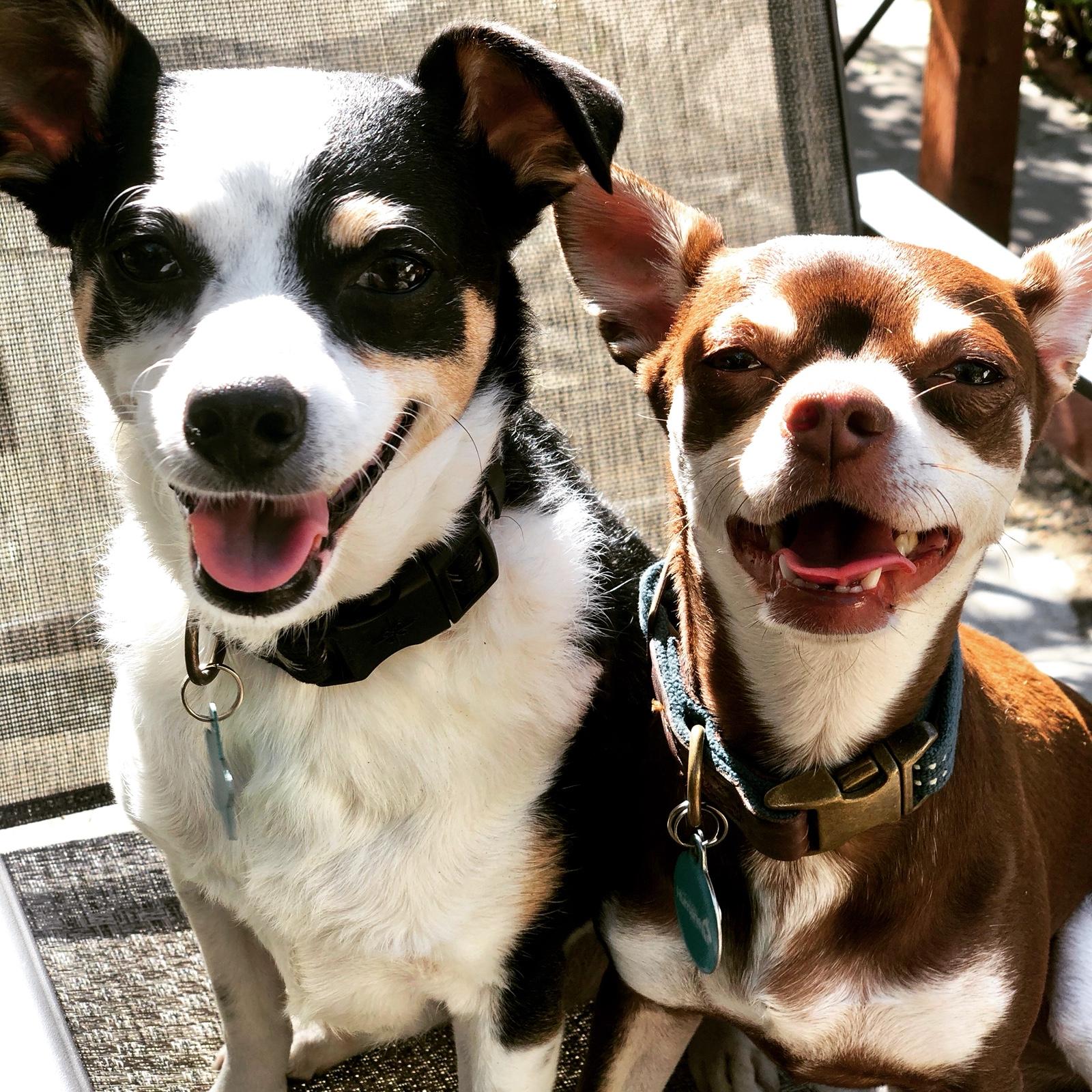 Best friends from the beginning!