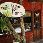 Bohol Bee Farm Resort