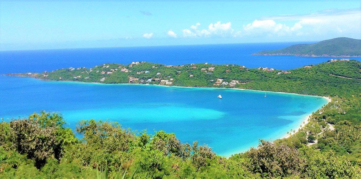 The Wedding Website of Sophia Allen and Andre Green