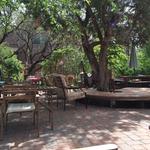 ChocolaTree Organic Oasis "The Real Sedona"