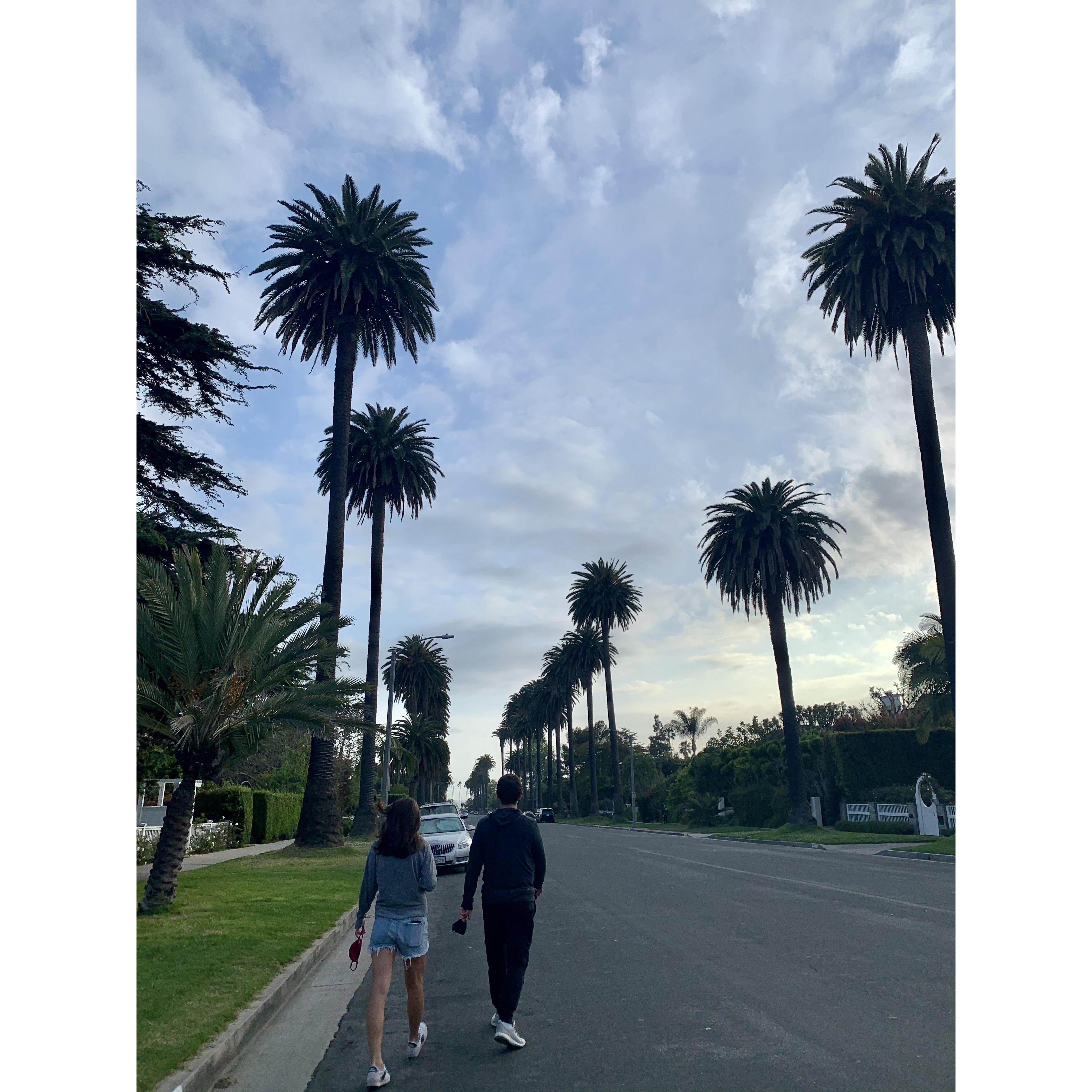 Walking in our neighborhood