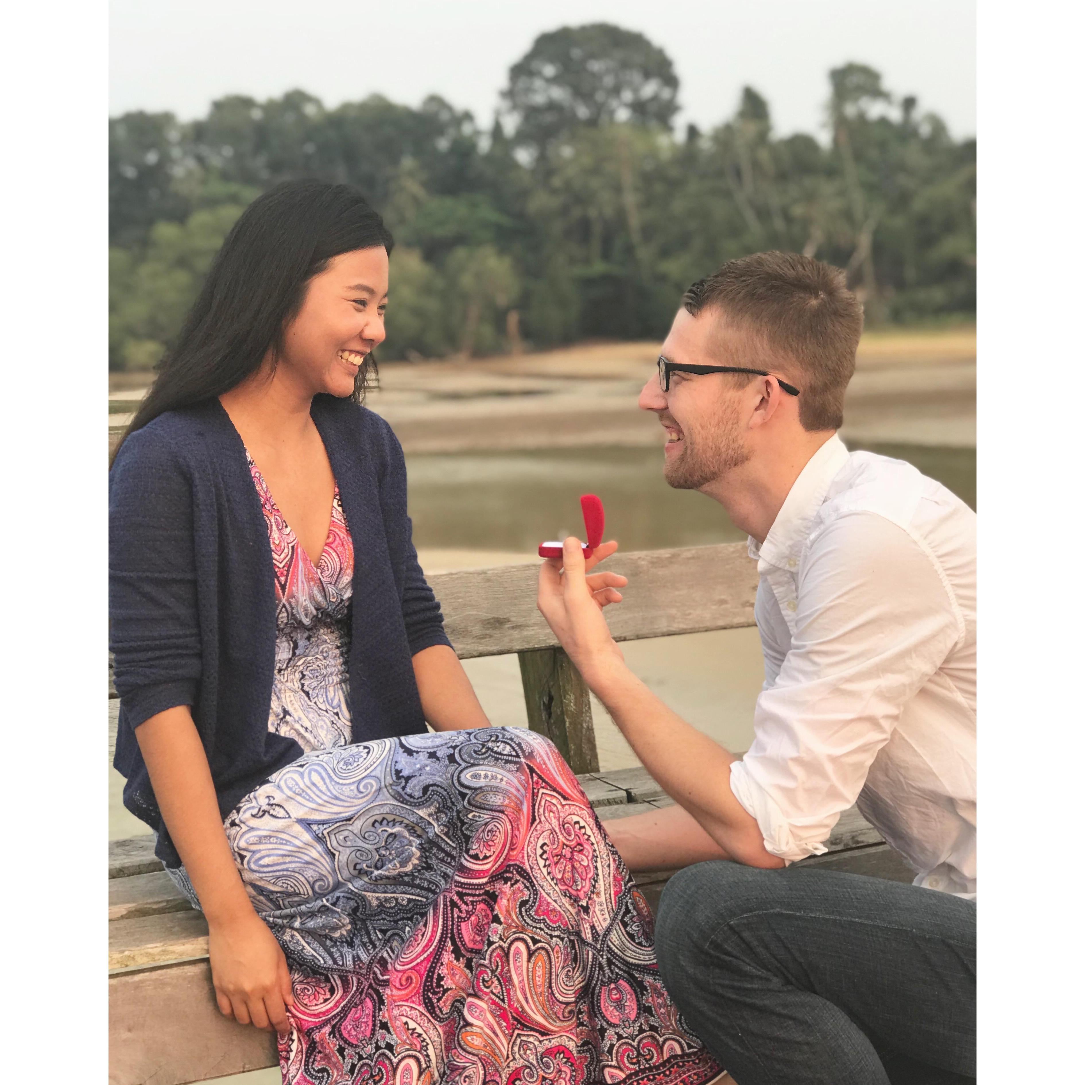 The day she said “ YES “ March 11 , 2017