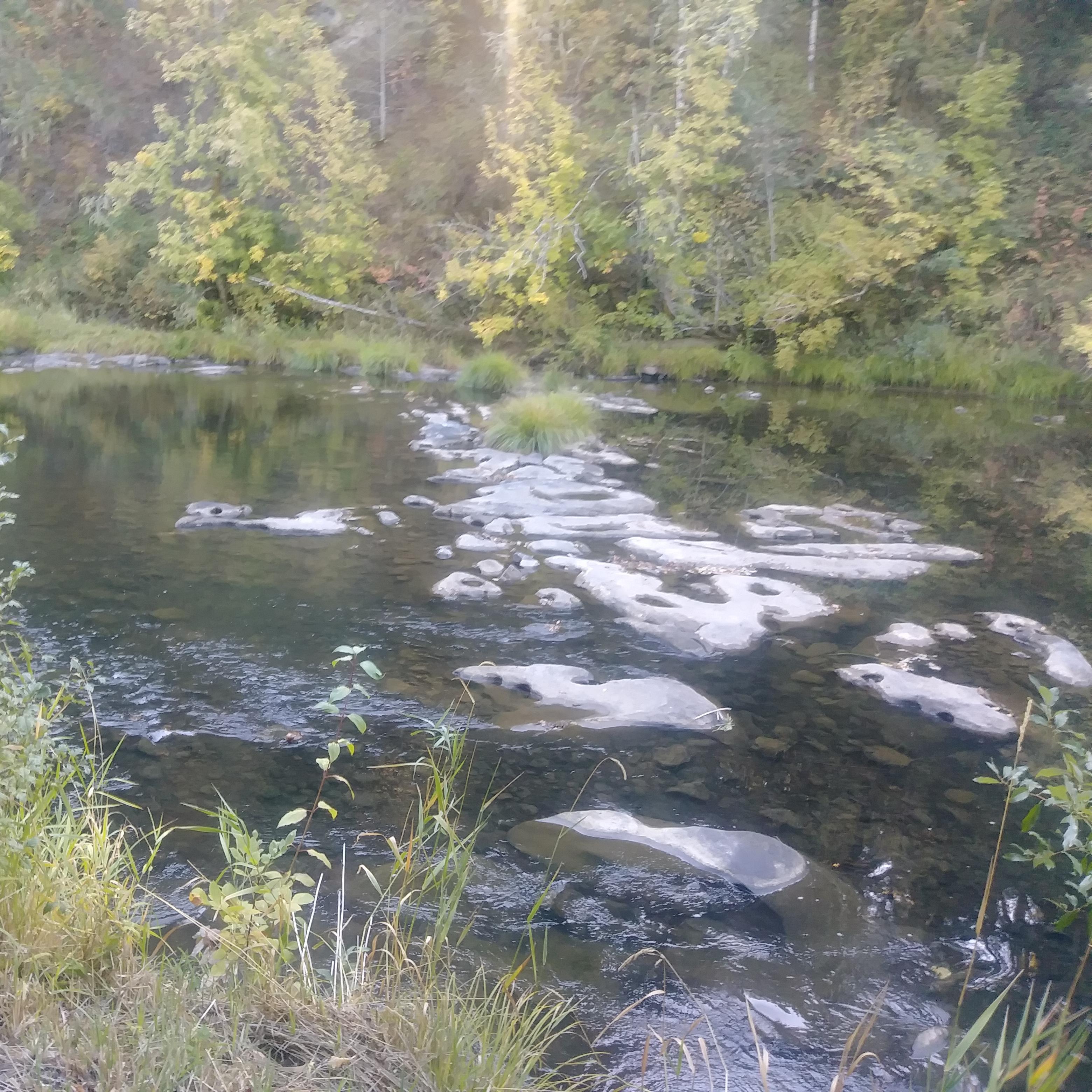 A babbling brook provides a natural boarder to the venue.