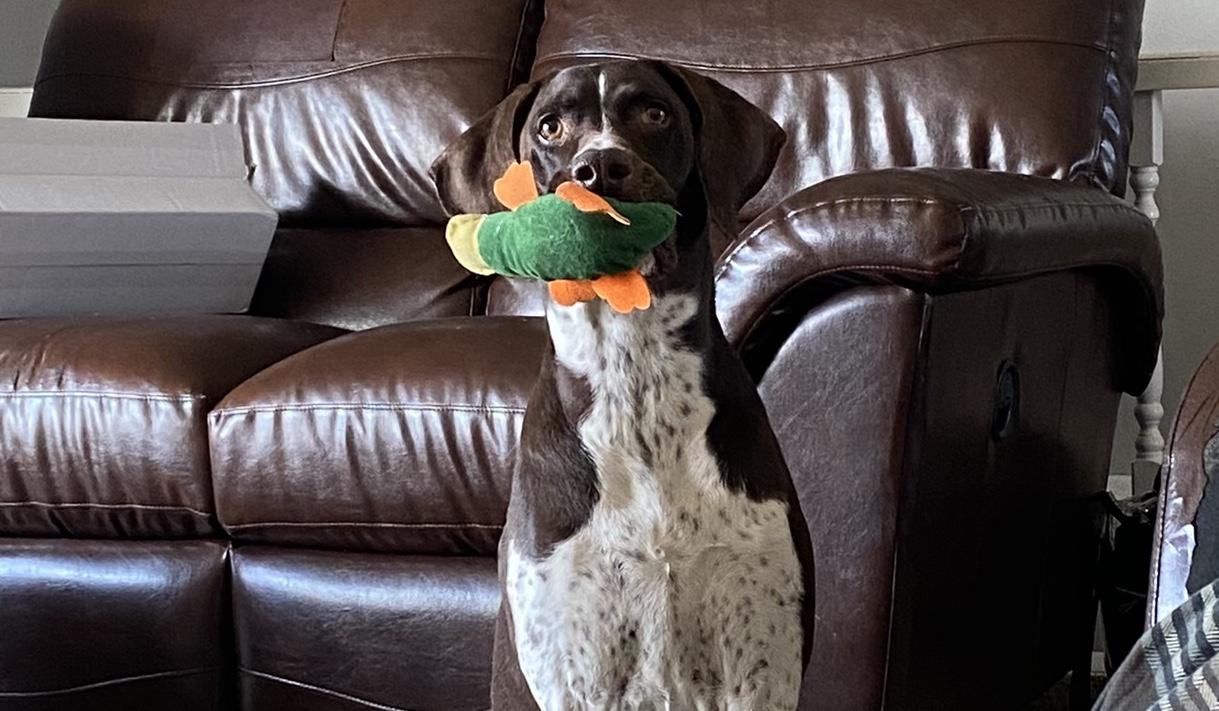 The Wedding Website of Nicole Stock and Brennen Contreras