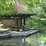 Alfred Caldwell Lily Pool