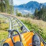 Mustang Mountain Coaster