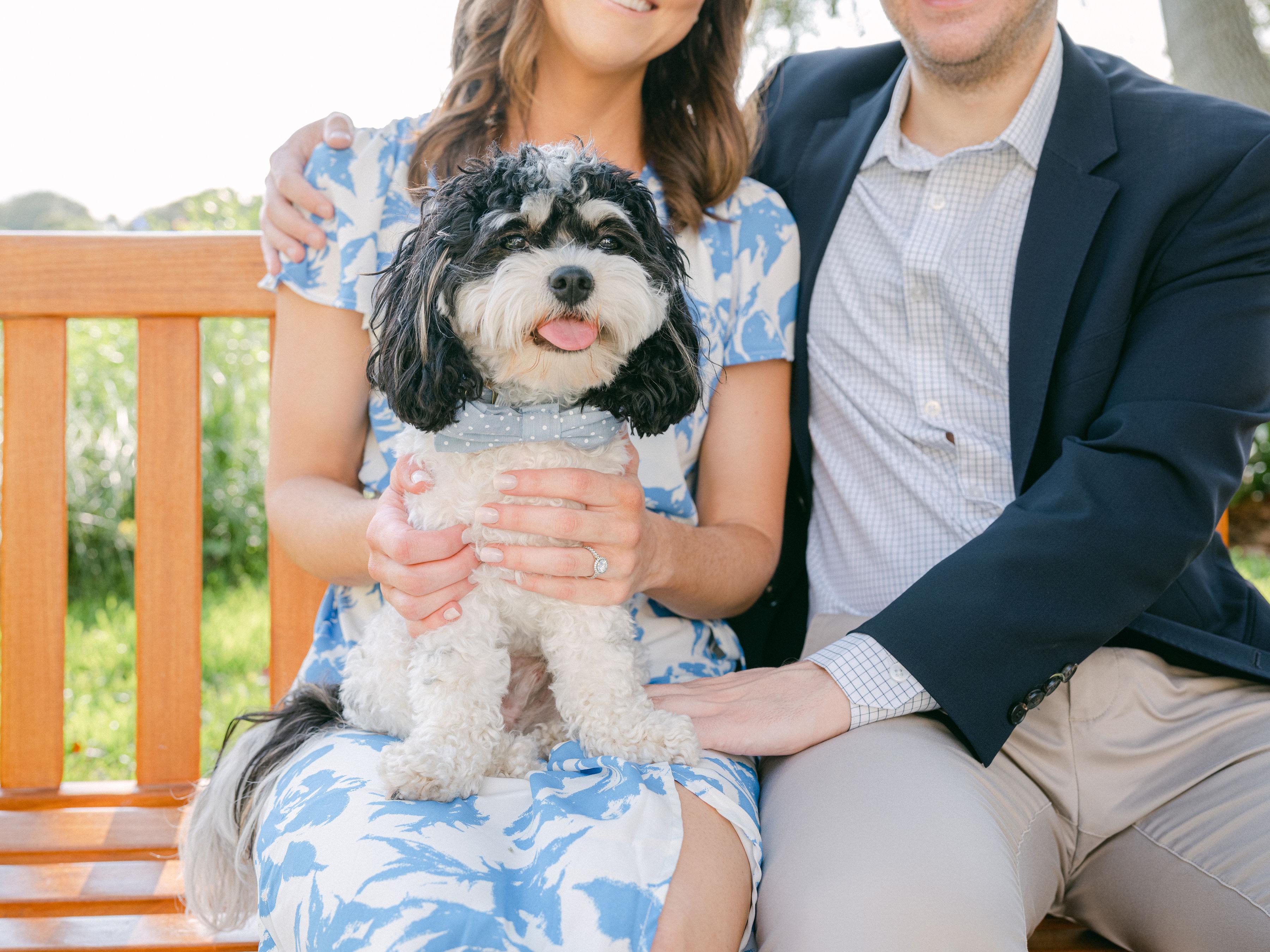 The Wedding Website of Sean Miller and Allie Wicker