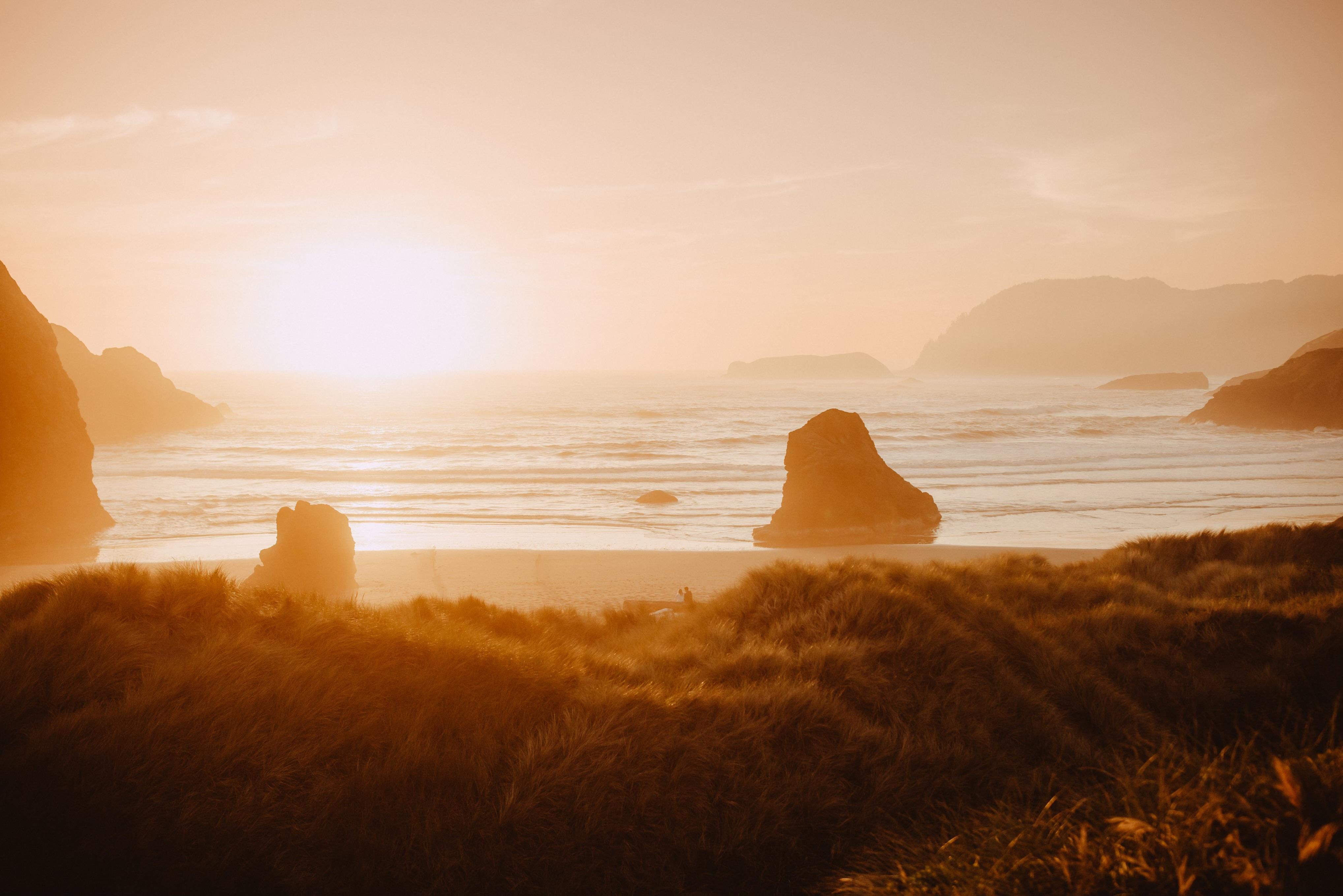 The Wedding Website of Gabby Collins and Daegan Brady