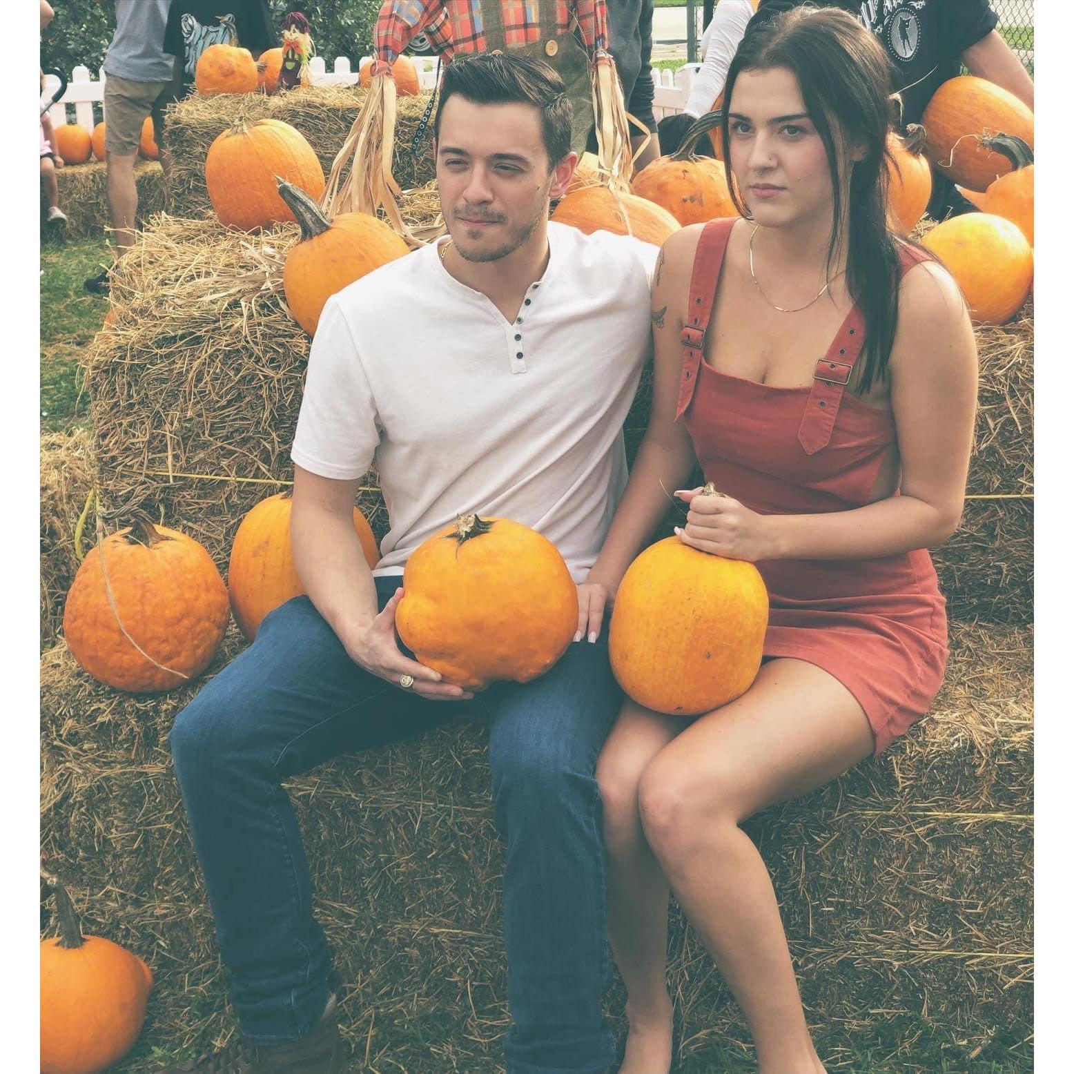A more “realistic” picture from a pumpkin patch in Deerfield Beach, FL 2019
