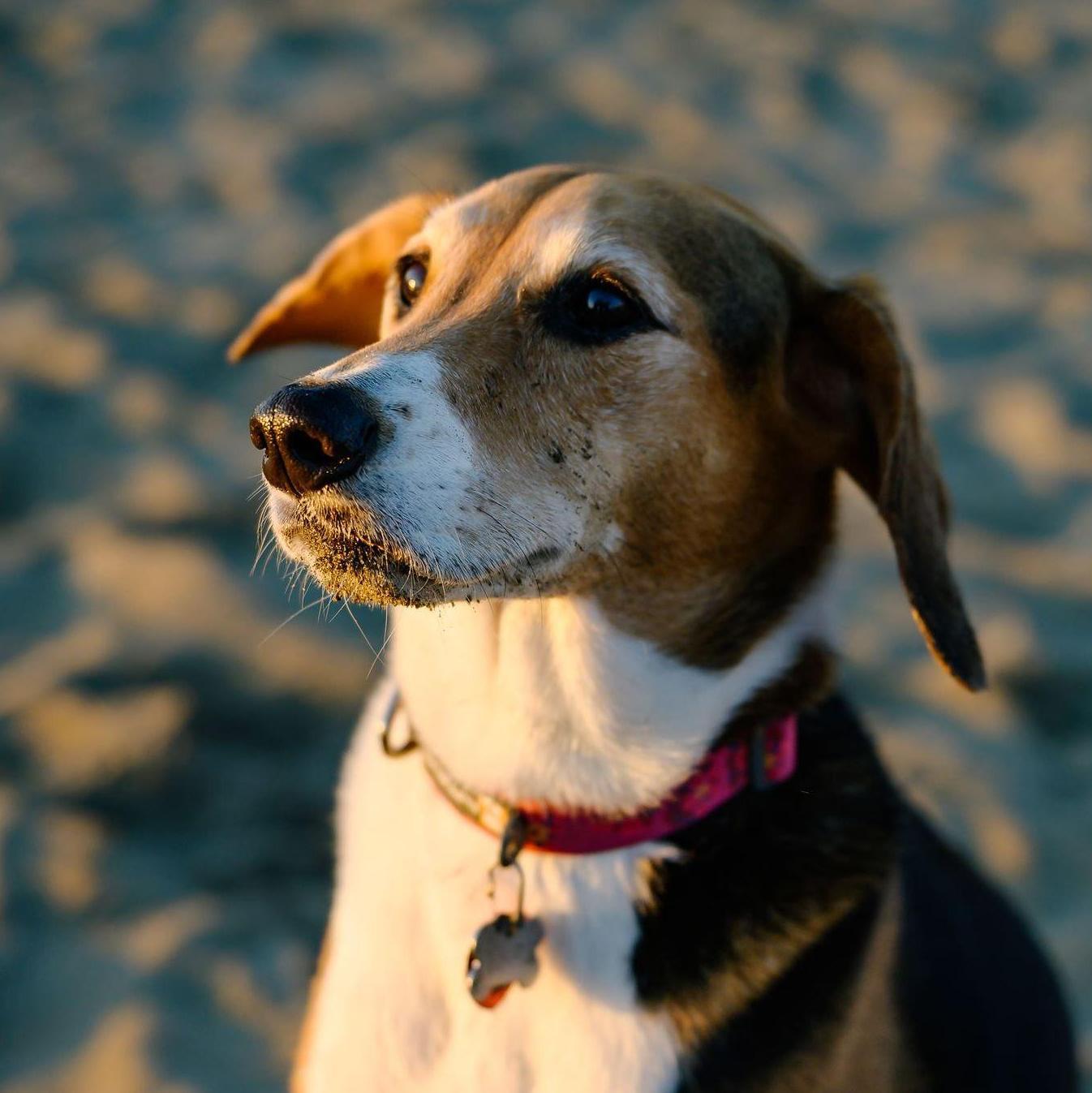 WE LOVE PENNY!!!