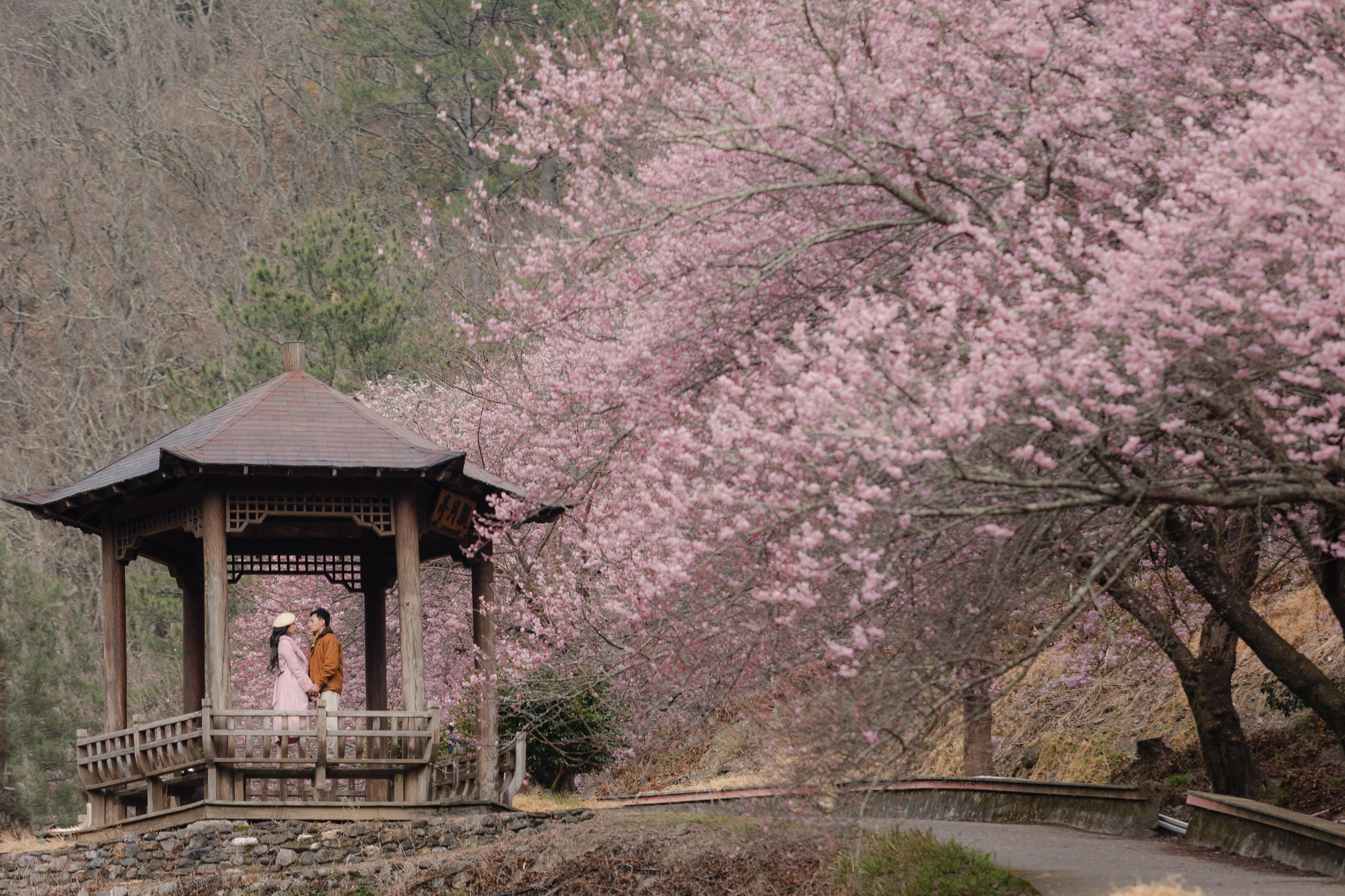 The Wedding Website of Noe Aaron Valdez and Zharmaine Angela Sy