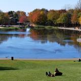 Parc du Mont-Royal