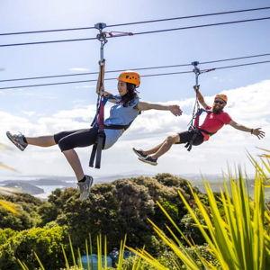 Ziplining excursion