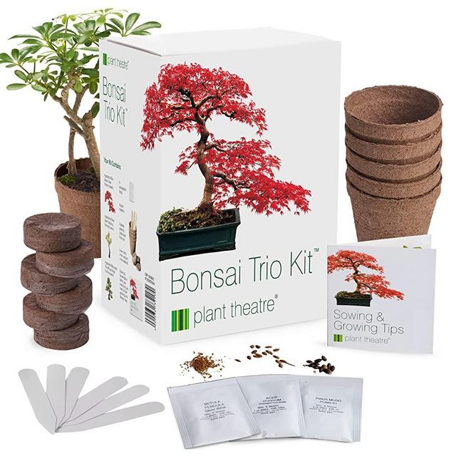 Plant Theatre Bonsai Trio Kit, 3 Distinctive Bonsai Trees to Grow