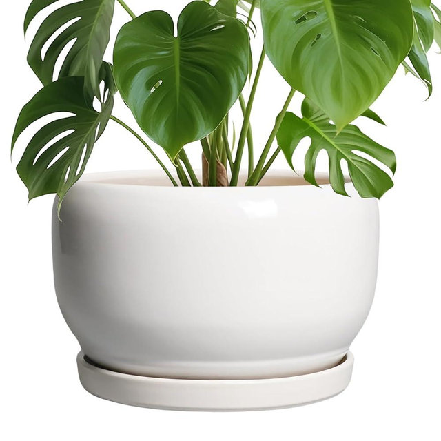 SQOWL Ceramic Pot for Plants - 10 Inch Planter with Drainage Hole and Saucer, Round Ceramic Flower Pot for Indoor Outdoor, Modern Decorative Large Planter, Patio Decor, Gifts for Plant Lovers, White