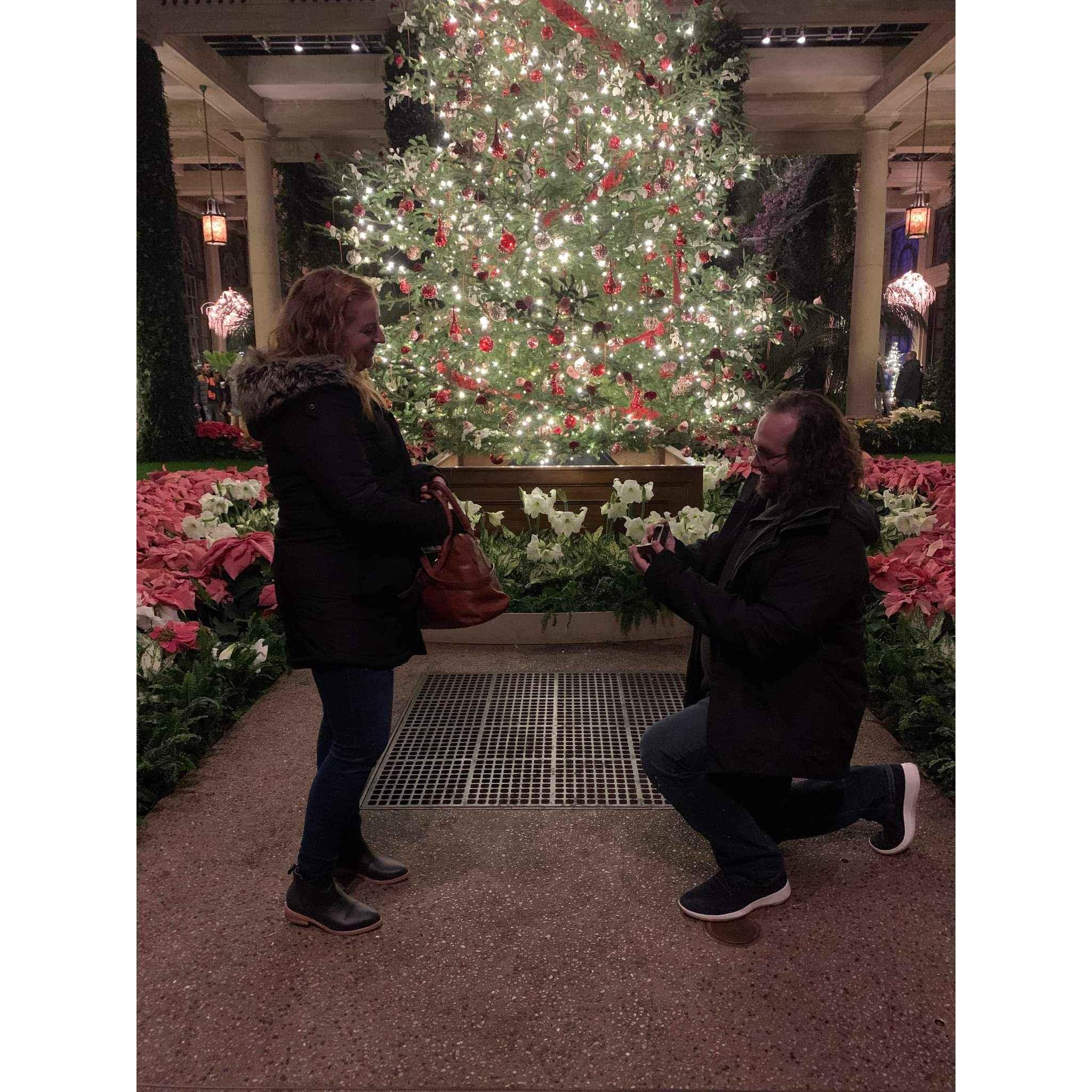 The proposal at Longwood Gardens