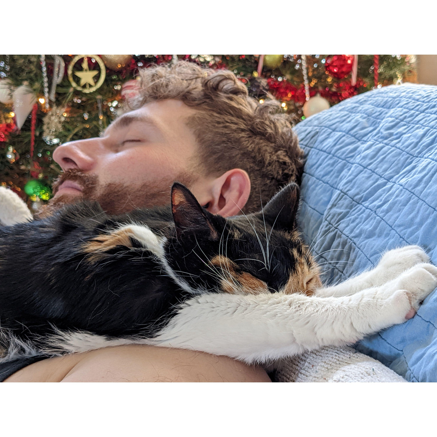 Cats love him!