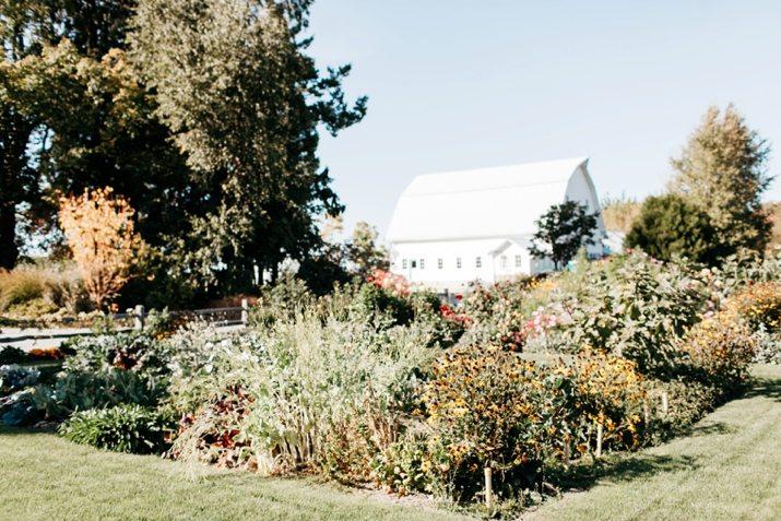 The Wedding Website of Allie Fraley and Joe Porwoll