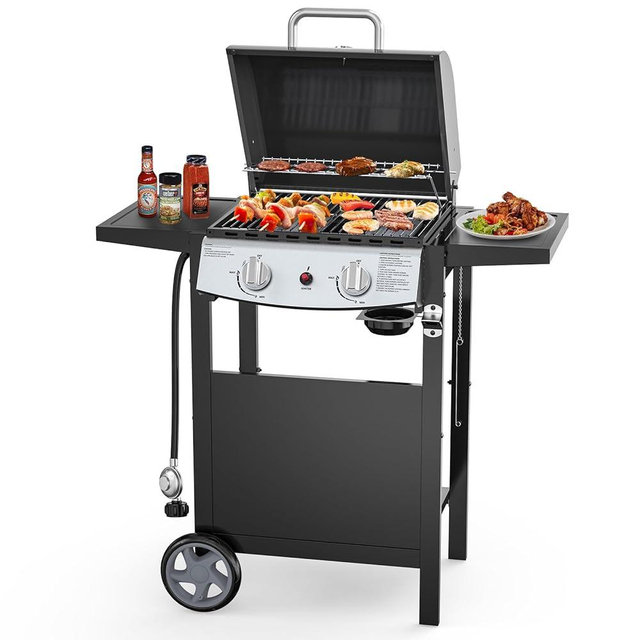 Electactic 2-Burner Propane Gas BBQ Grill, 20,000 BTU Stainless Steel Grill with Side Shelves and Wheels, Portable Outdoor Grill for Patio, Backyard, Garden, or Camping Cooking