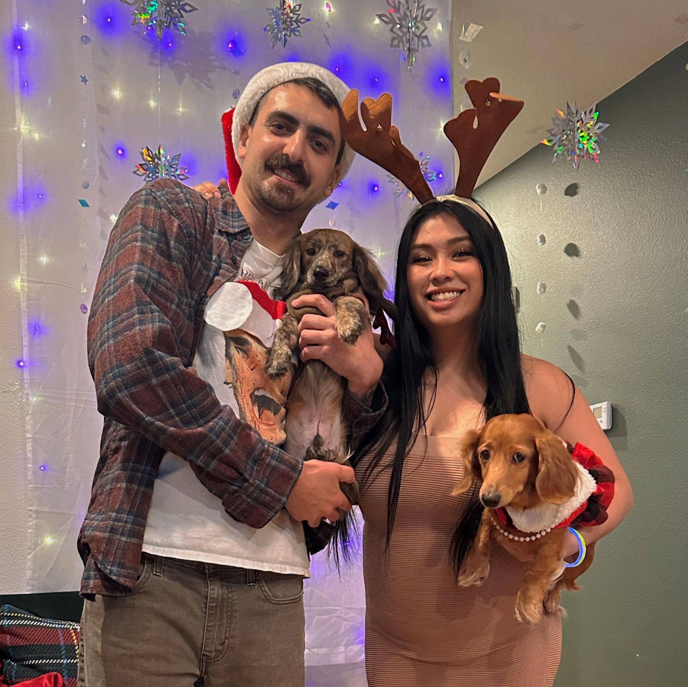 First Christmas 2023 at their new home. They threw a Christmas themed party, as you can see the dogs weren't as happy dressing up as them!
