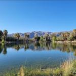 Agua Caliente Regional Park