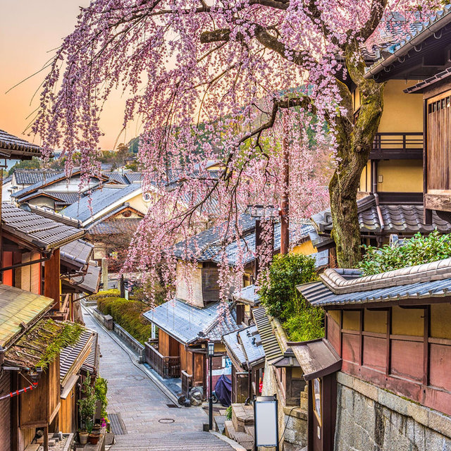 Honeymoon in Japan