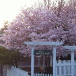 Nevada City Must-Sees