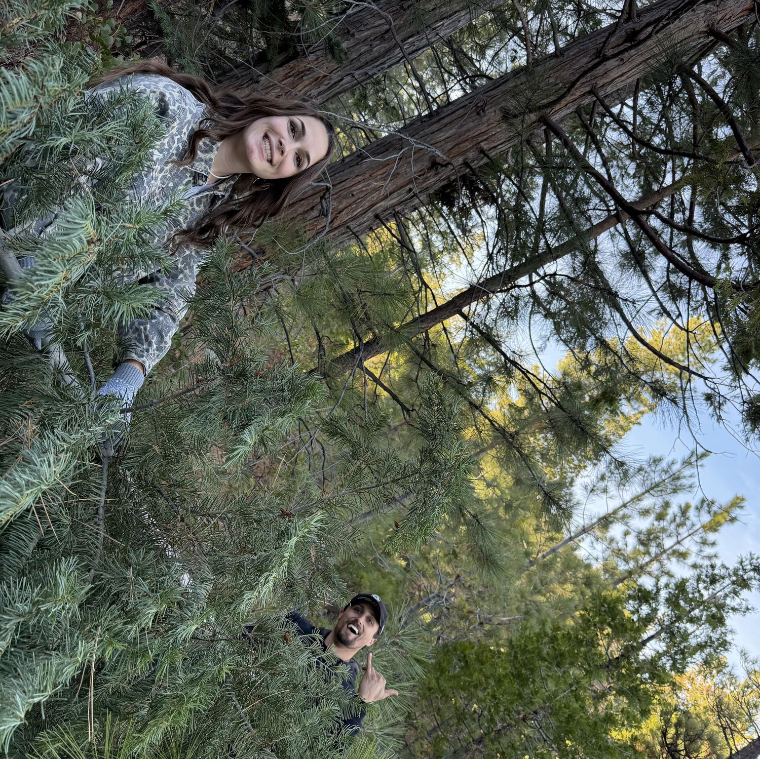 Building our forever, one Christmas tree at a time🎄