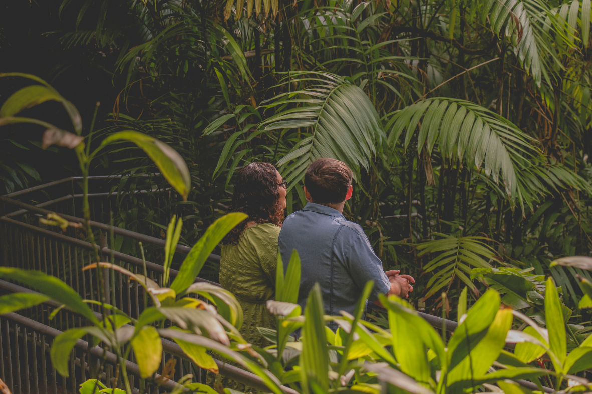 The Wedding Website of Maricruz Flores and John Michael Strauss