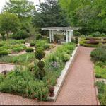 State Botanical Garden of Georgia