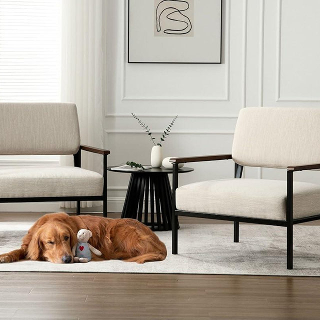 Mid Century Modern Beige Accent Chairs Set of 2, Comfy Arm Chairs with Black Metal Frame Soft Linen Fabric Upholstered Armchairs Living Room Chairs Lounge Chairs Reading Chairs for Bedroom/Office